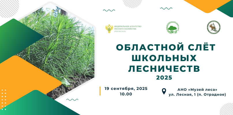 _Областной слёт школьных лесничеств 2025 (1).png