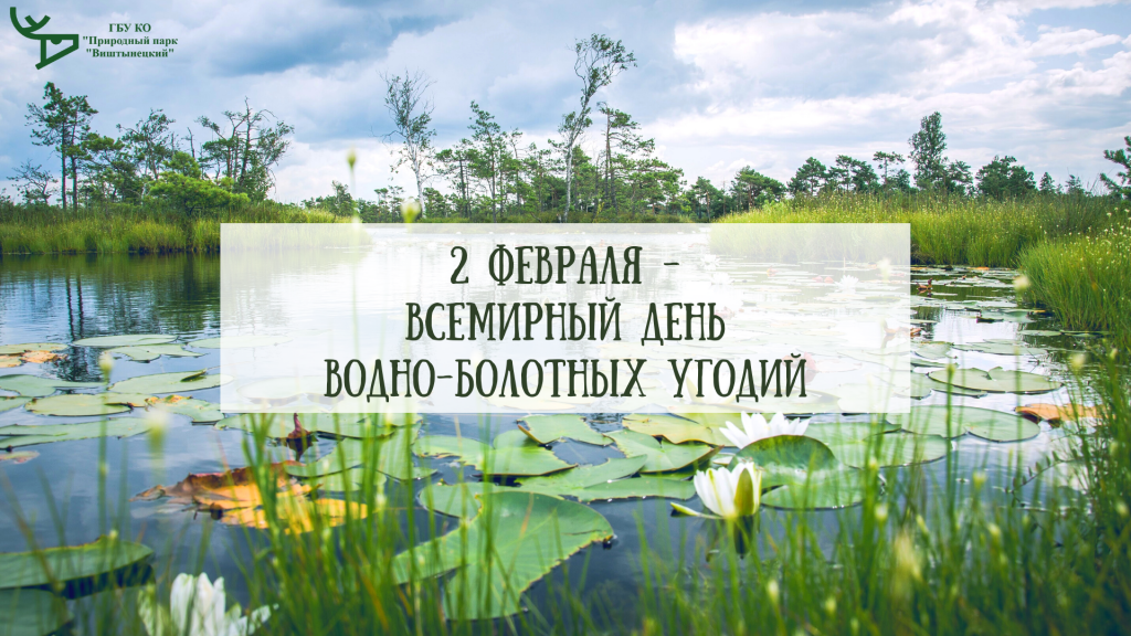 Вариант 2.png