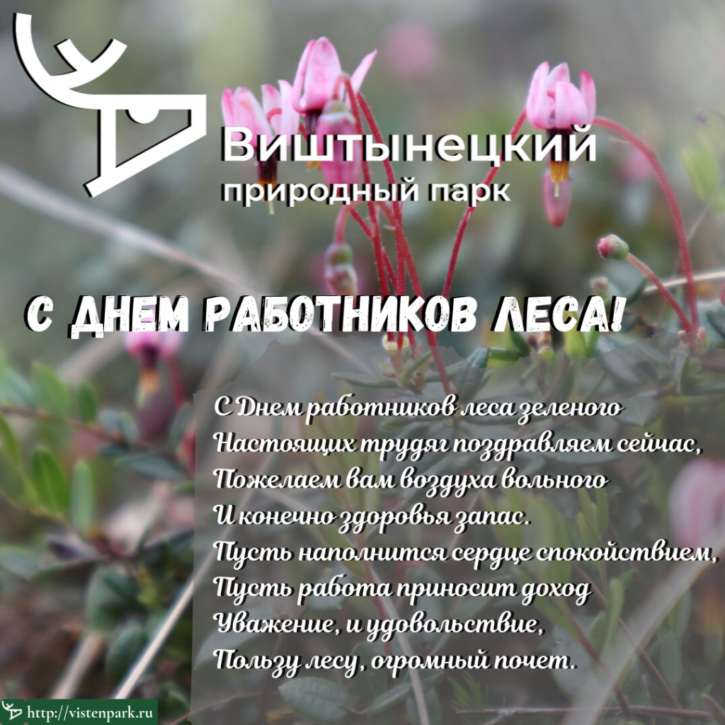 С Днем работников леса С Днем работников леса